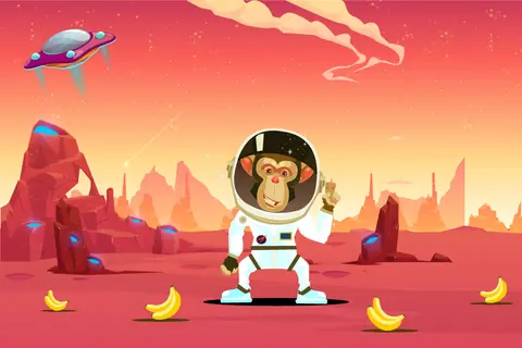 Rocket Monkey